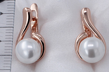 фото Серьги  fallon - (артикул - 18e093h0-FF1993)